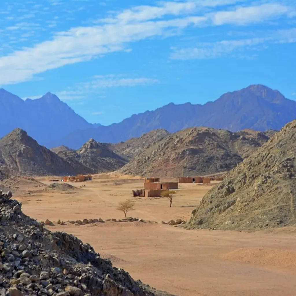 WhatsApp Image 2025-12-12 at 20.52.04_2621e763