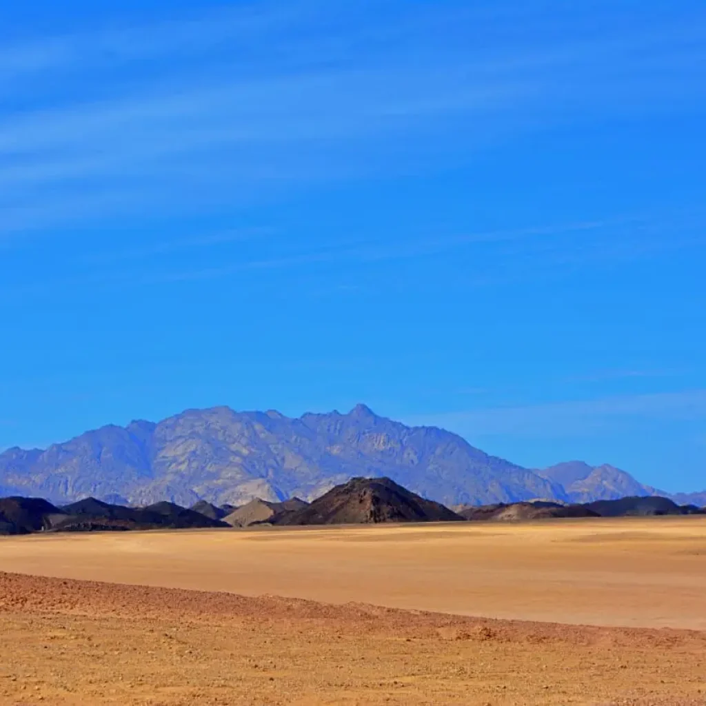 WhatsApp Image 2025-12-12 at 20.52.04_ef0fd076