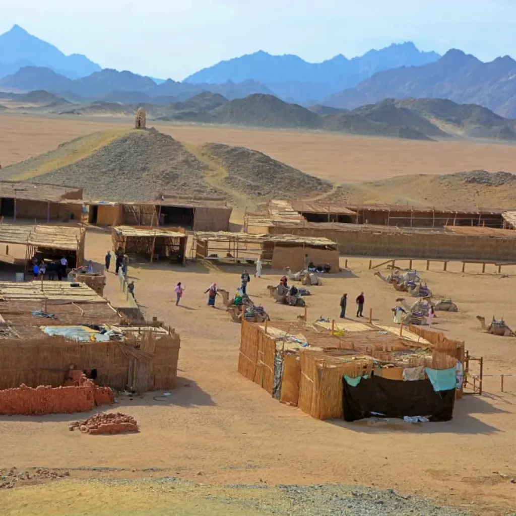 WhatsApp Image 2025-12-12 at 20.52.06_38da9f1f